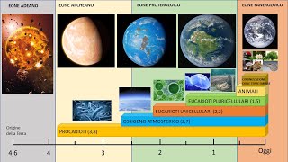 LA COMPARSA DELLA VITA SULLA TERRA [upl. by Juliane952]