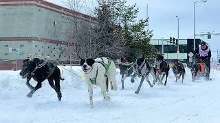 2024 Fur Rondy in Anchorage Alaska [upl. by Inat783]