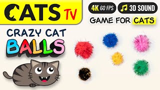 CAT TV  Crazy Balls 🙀🎶 For cats to play 📺😻 4K 60FPS [upl. by Koziel]