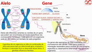 Pilula Óptica 45 Alelo e gene [upl. by Lein]