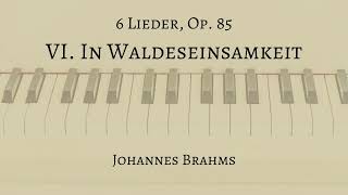 In Waldeseinsamkeit by Brahms Accompaniment [upl. by Hubing586]