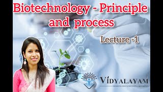 Vectors  Plasmid  Biotechnology  Principle and Processes  NEET  CBSE [upl. by Harty46]