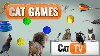 Cat Games  Ultimate Cat TV Compilation Vol 3  🐱 [upl. by Mogerly]