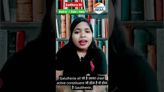 Gaultheria Oil  Uses  Medicinal Importance shorts gpat pharmacyindia [upl. by Olin563]