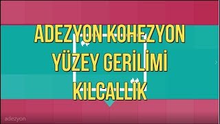 Adezyon Yapışma  Kohezyon Birbirini Tutma  Yüzey Gerilimi  Kılcallık [upl. by Yttig]