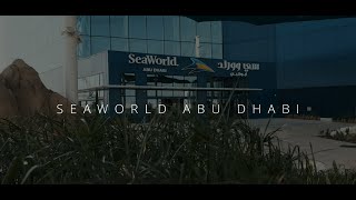 SEA WORLD TOUR ABU DHABI 4k [upl. by Winser314]