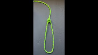 Midshipmans Hitch KnotVoice Step by Step Tutorial knotknut knotskills knot rope [upl. by Eecal441]