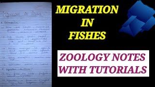 MIGRATION IN FISHES migrationinfishes zoologynotes bsc1styearzoology bsczoology fishes zoo [upl. by Suiram]