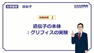 【生物基礎】 遺伝子1 グリフィスの実験 （１６分） [upl. by Vitus]