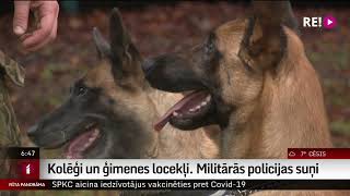 Kolēģi un ģimenes locekļi Militārās policijas suņi [upl. by Anawk]