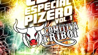 CD COMITIVA FRIBOI ESPECIAL PIZERO VOL 1 [upl. by Bashee628]