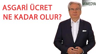 Asgari ücrete ve emekli maaşlarına ne kadar zam gelir Ekonomist Doç Dr Şevket Sayılgan yanıtladı [upl. by Hayley36]