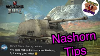 Tips and Tricks Nashorn WOT Blitz [upl. by Jeannine815]