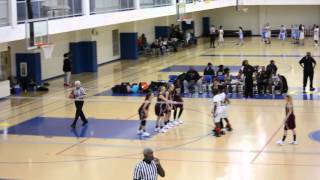 Maryland Lady Tigers vs Fairfax Stars  4916 [upl. by Neersin]