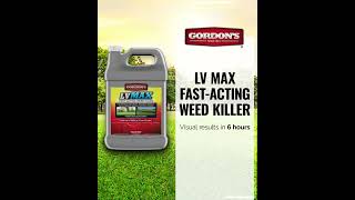 LV MAX FastActing Weed Killer [upl. by Ailemrac]