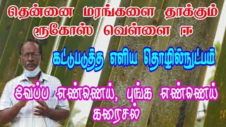 தென்னை மரங்களை தாக்கும் ரூகோஸ் வெள்ளை ஈ Rugose spiralling White fly [upl. by Power270]