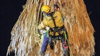 Bakersfield Tree Trimmer Fatal Accident  WARNING GRAPHIC CONTENT [upl. by Nniw]