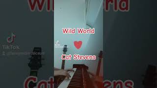 CAT STEVENS quotWild Worldquot cover w BenSolleeKY [upl. by Frydman]