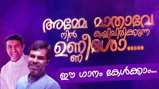 അമ്മേ മാതാവേ നിൻ കൈയ്യിലിരിക്കുന്ന  FrBinoj Mulavarickal  Amme Mathave സെറാഫുകൾ ചിറകുവിരിച്ചാലും [upl. by Hako]