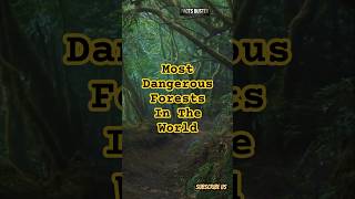 Most Dangerous Forests In The World forest adventure usa india amazon ai world facts tree [upl. by Franchot]