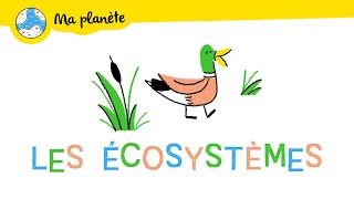 Les écosystèmes expliqués aux enfants  Ma Planète 10 [upl. by Oscar]