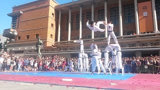 Taekwondo de Kukkiwon exhibicion en Montevideo 2014 [upl. by Strade954]