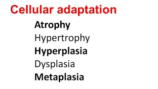 Cellular Adaptation  Atrophy Hypertrophy Hyperplasia Dysplasia Metaplasia [upl. by Marler639]