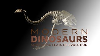 Modern Dinosaurs The Kiwi [upl. by Ledua]