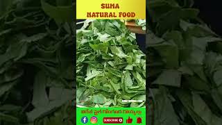 విలేజ్ స్టైల్ గోంగూర రొయ్యలు  Suma Natural Food food foodphotographer foodblog recipe [upl. by Everick]