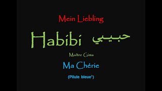 Maître Gims Habibi  Lyrics Deutsch m Erklärung  paroles con éxplication [upl. by Margetts923]