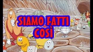 Siamo Fatti Cosi  Videosigla Iniziale  Remastered Edition 2016  SIGLA TV [upl. by Mathi]