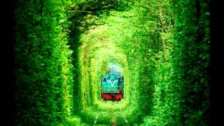 Tunnel Of Love in Ukraine  Place You Must Visit HD 2024 HD [upl. by Amled]