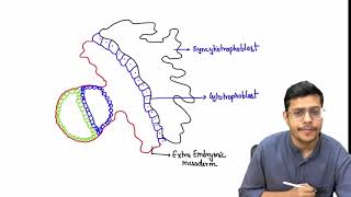 MBBS 1st Year General Embryology Third Week Of Devlopment [upl. by Oneg]