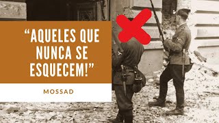 Mossad Caça Criminoso de Guerra Nazista no Brasil O Caso Herbert Cukurs [upl. by Nasar]