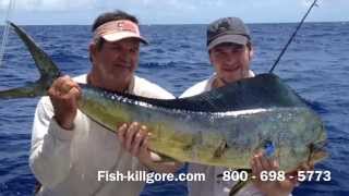 Dolphin mahi mahi sport fishing Islamorada Fishing Charters Florida Keys 001 720 [upl. by Ferree]