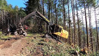 Logging Oregon Coast Range Tethering part 7 [upl. by Nerita869]