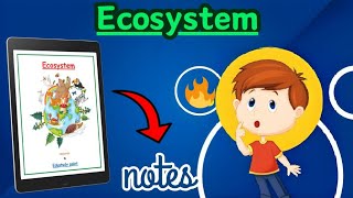 Ecosystem Class 12th Biology chapter 14 Best NOTES  Edustudypoint [upl. by Emmalynn]