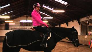 Conseils pour le cavalier et le cheval en cas de froid  Equidia Life [upl. by Elinet]