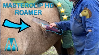 ASMR Horse Clipping CLIPPING quotBOBBYquot WITH THE MASTERCLIP HD ROAMER Cordless Horse Clipper [upl. by Yraht643]