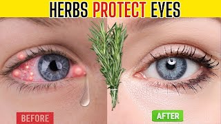 Top 10 Herbs That Protect Eyes and Repair Vision [upl. by Bazluke]