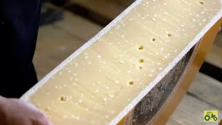 How Gouda Cheese is Made on A 150YearOld Dutch Family Farm  Farming documentary [upl. by Uon]