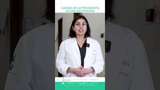 ¿Cuáles son las Causas de la Prostatitis Aguda Bacteriana [upl. by Emelina]