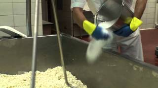 Cow to Cracker Making Cheese at the University of Minnesota [upl. by Deden]