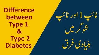 Difference between type 1 and type 2 diabetes [upl. by Askwith]