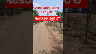 agricultural land for sale [upl. by Demahom]