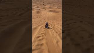 Sand boarding🥰😉😘 music musica travel awesom deserttour [upl. by Budde]