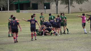 FAU Rugby Scoring Highlights vs USF  FCC 15s 1262019 [upl. by Marler]