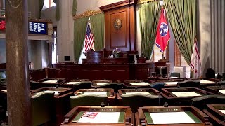 Tennessee Senate passes version of ESAschool vouchers bill [upl. by Elleret]