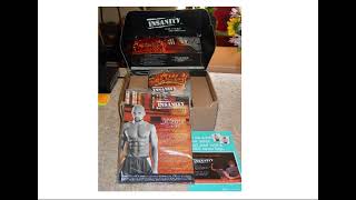 Insanity The Ultimate 60Day Home Workout Challenge with Shaun T [upl. by Zoba530]