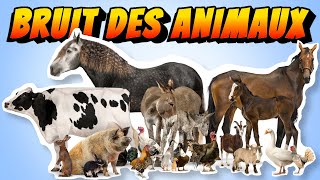 APPRENDRE le  bruit des ANIMAUX  de la ferme Pour BÉBÉ [upl. by Bred886]